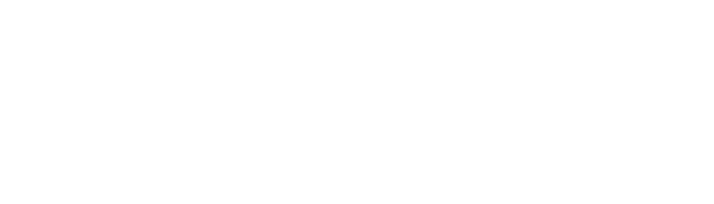 Meta Official Partner
