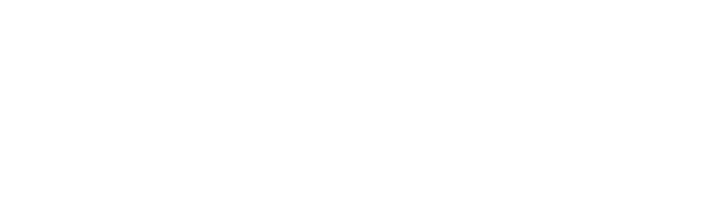 Wix Official Partner