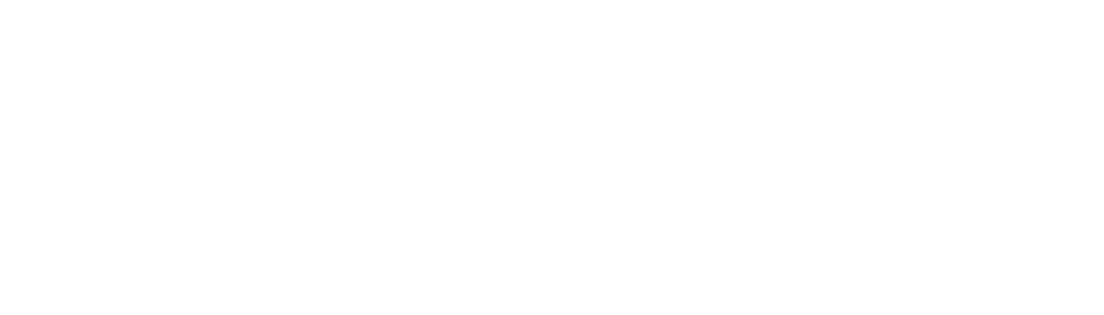 Shopify Official Partner